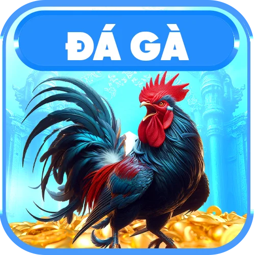 Sảnh đá gà nhà cái 45678