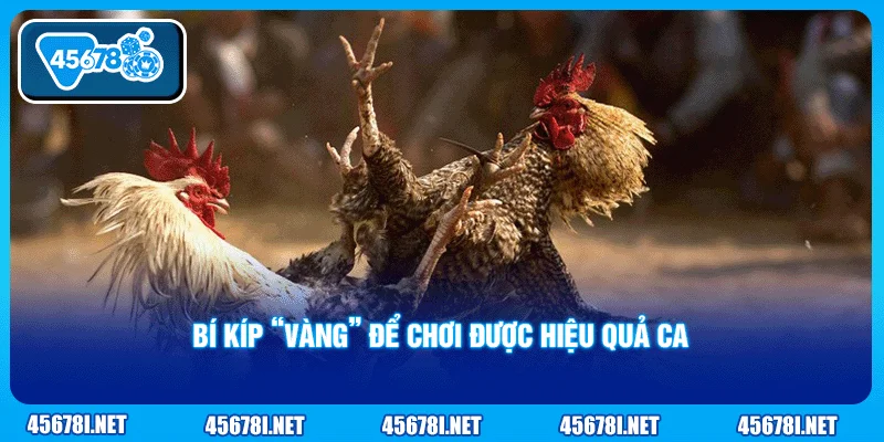 Bí kíp “vàng” để chơi được hiệu quả cao