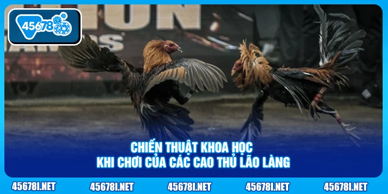 Chiến thuật khoa học khi chơi của các cao thủ lão làng