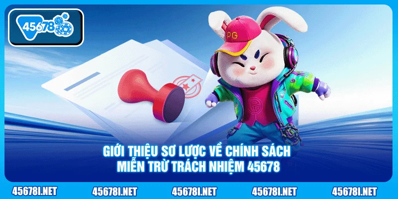 Giới thiệu sơ lược về chính sách miễn trừ trách nhiệm 45678